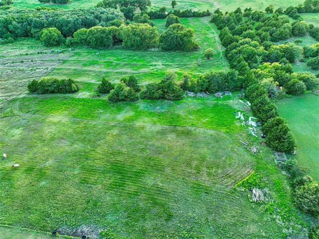 a view of a lush green space
