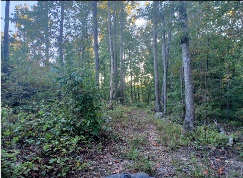 2247 Tipple Road Tracy City, TN 37387 - Photo 31 of 46 Gallery Image 31