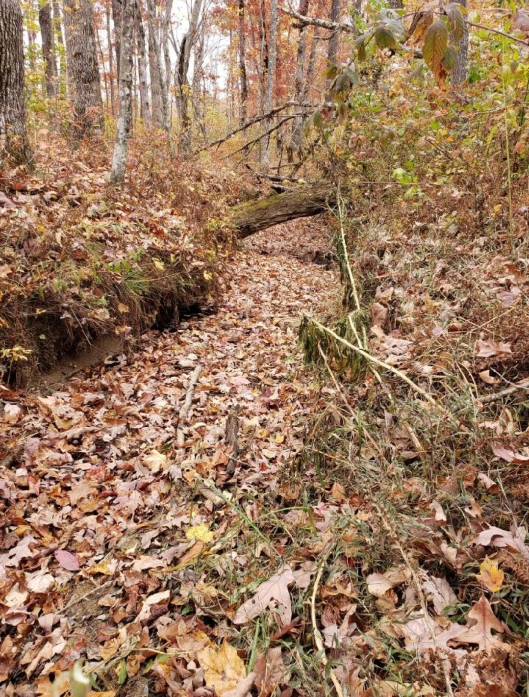 2247 Tipple Road Tracy City, TN 37387 - Photo 39 of 46 Gallery Image 39