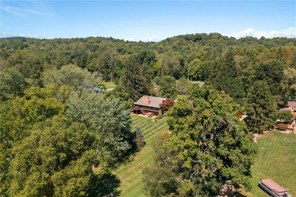 1164 River Road Freeport, PA 16229 - Photo 38 of 50 a view of a forest with a street