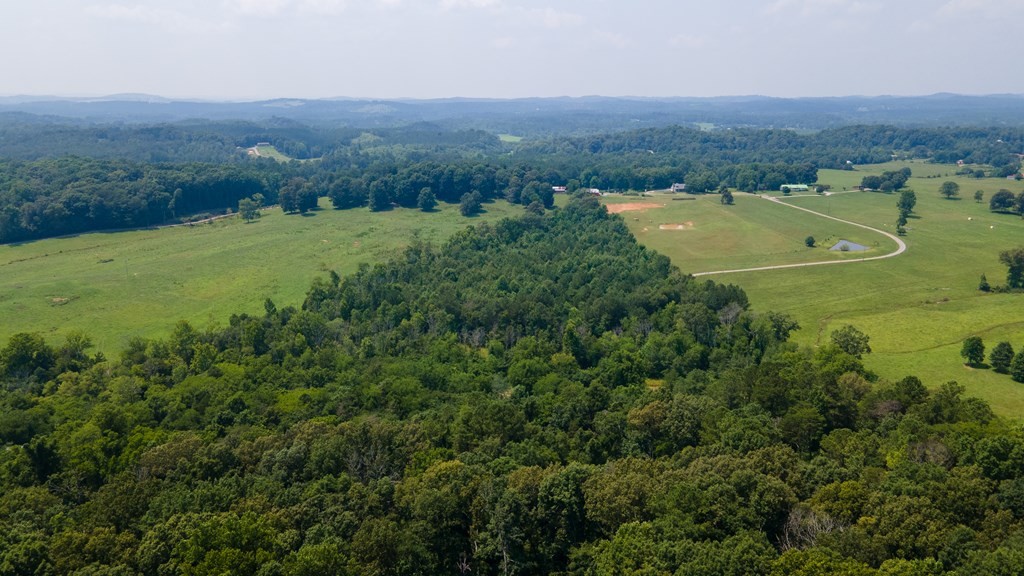 1373 Dentville Road Delano, TN 37325 - Photo 2 of 4 Gallery Image 2