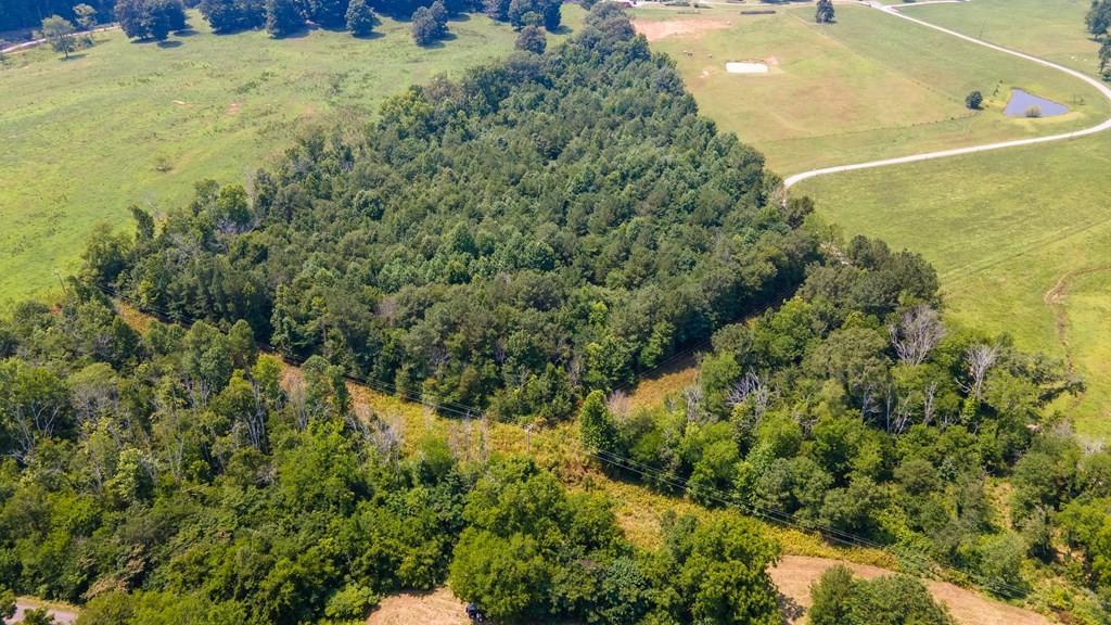 1373 Dentville Road Delano, TN 37325 - Photo 3 of 4 Gallery Image 3