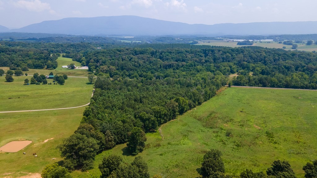 1373 Dentville Road Delano, TN 37325 - Photo 4 of 4 Gallery Image 4