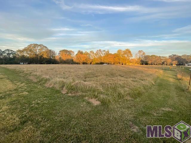 4175 Vernon Road Zachary, LA 70791 - Photo 2 of 4 Gallery Image 2