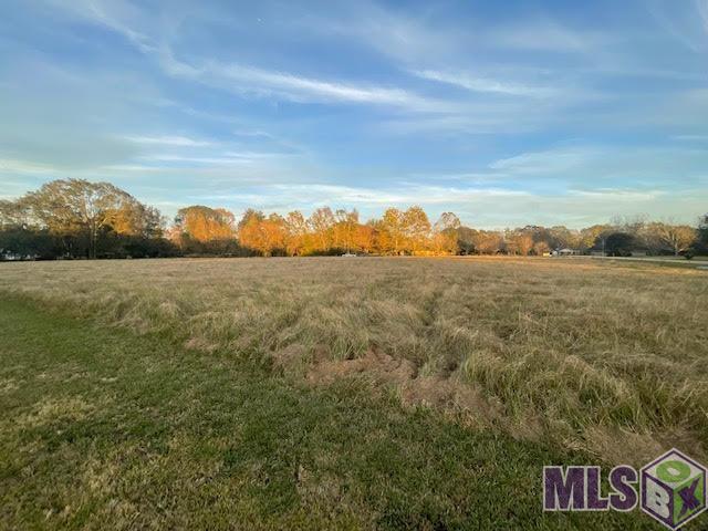 4175 Vernon Road Zachary, LA 70791 - Photo 4 of 4 Gallery Image 4