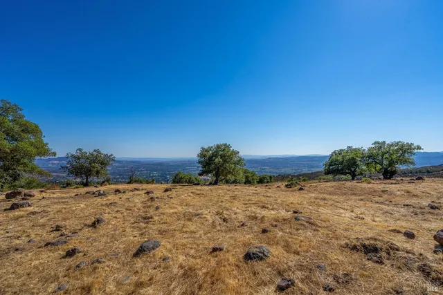 a view of a dirt field with a tree in the background