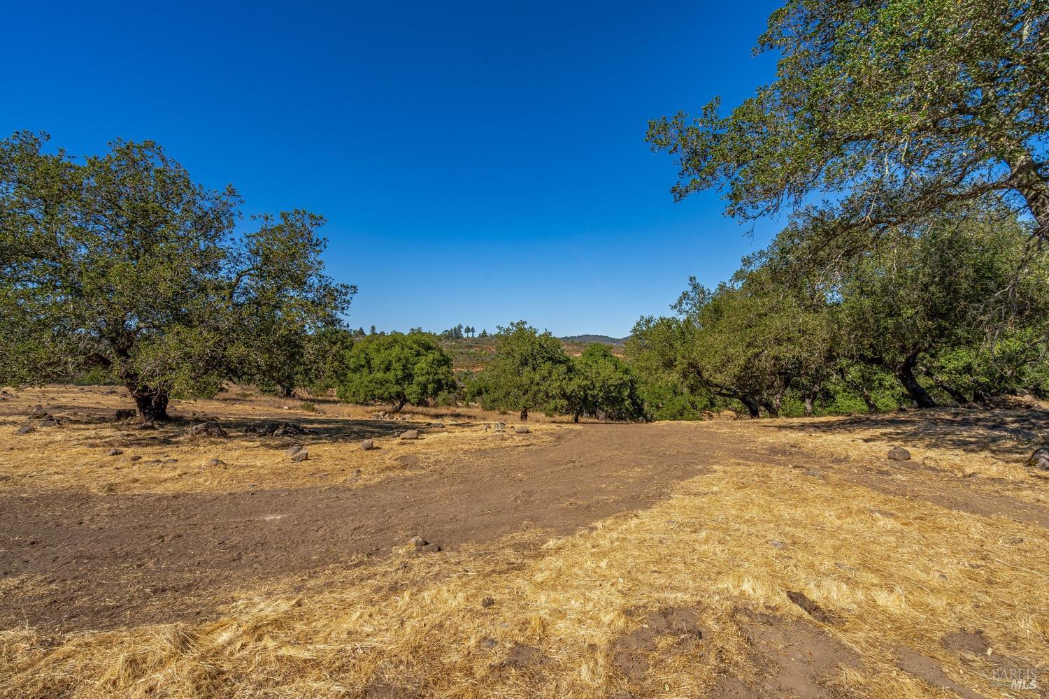 2863 Atlas Peak Road Napa, CA 94558 - Photo 8 of 27 a view of a yard with a tree