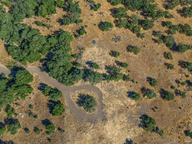 a view of a yard with a yard
