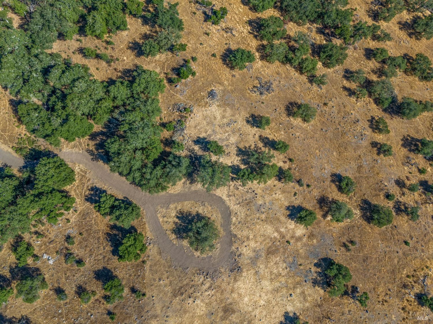 2863 Atlas Peak Road Napa, CA 94558 - Photo 9 of 27 a view of a yard with a yard