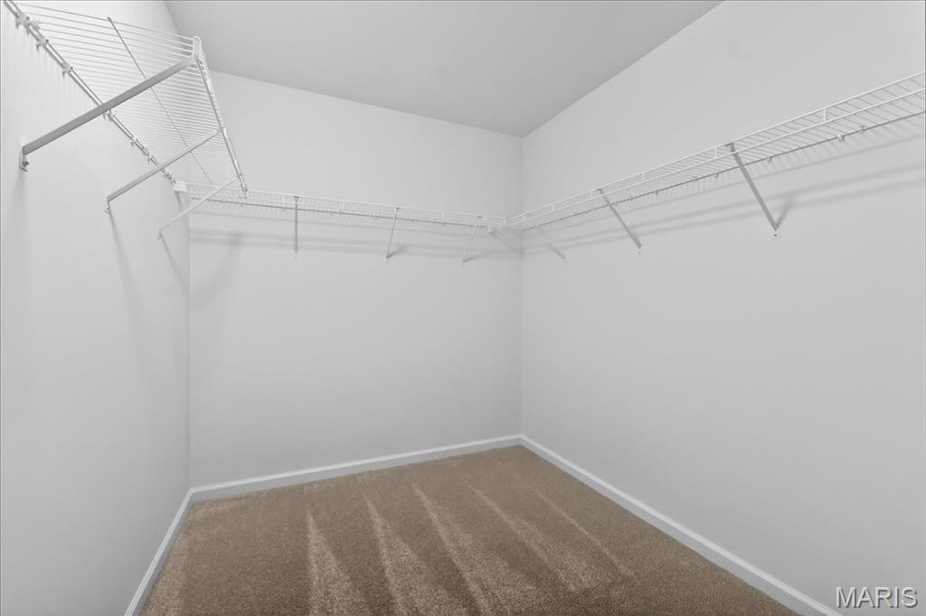 10 Wild Ridge Manor Court Florissant, MO 63033 - Photo 15 of 32