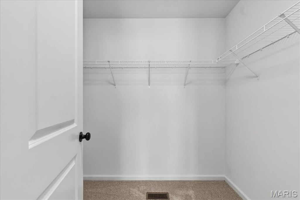 10 Wild Ridge Manor Court Florissant, MO 63033 - Photo 27 of 32