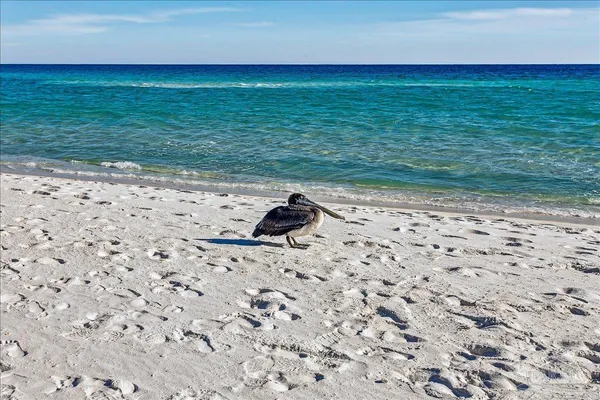 a dining room with furniture a chandelier and window