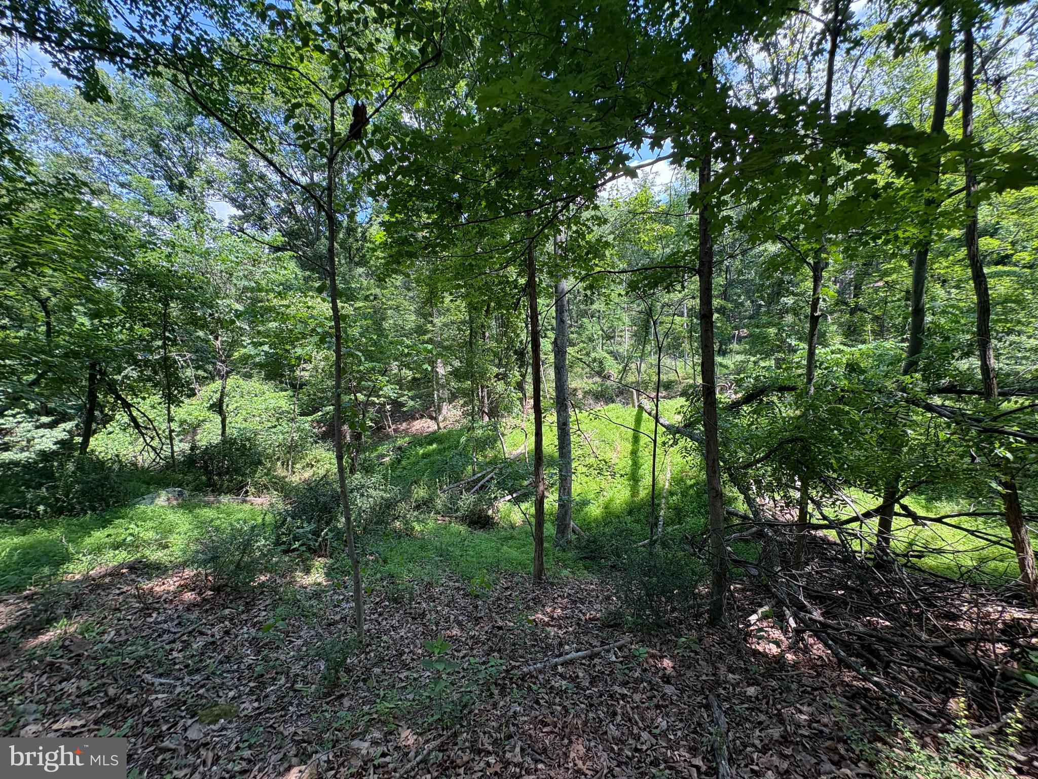 16 Rolling Acres Road Old Fields, WV 26845 - Photo 10 of 21