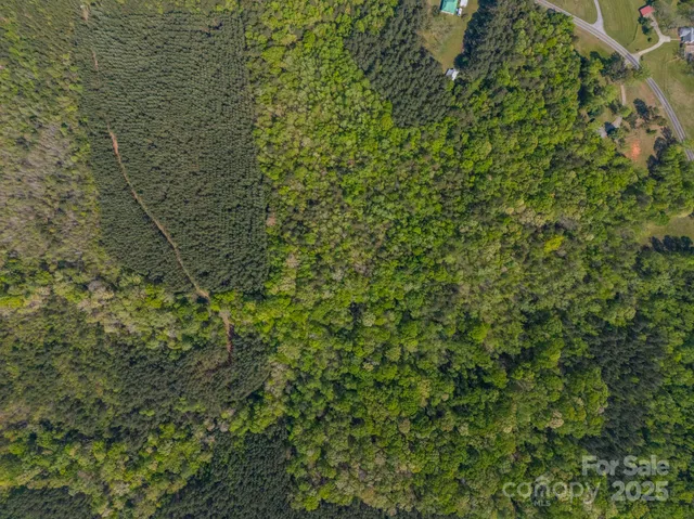 a view of a forest with a houses