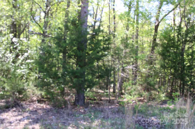 a view of outdoor space with trees