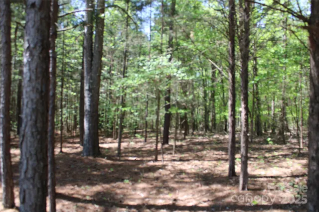 a view of lake with green space