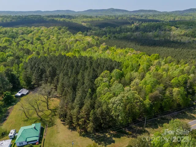 a view of a lush green forest with houses