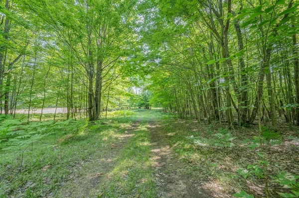 $200,001 | V/l 120th Avenue, Hersey, MI 49639