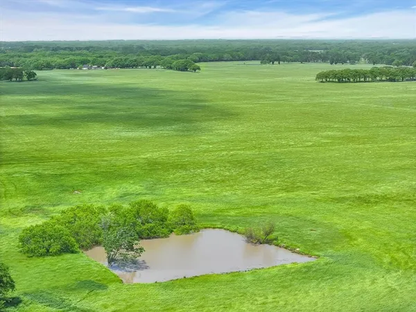 a view of a grassy field with an trees