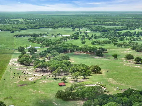 a view of a green field with lots of green space