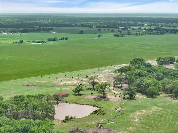 a view of a grassy field with an trees