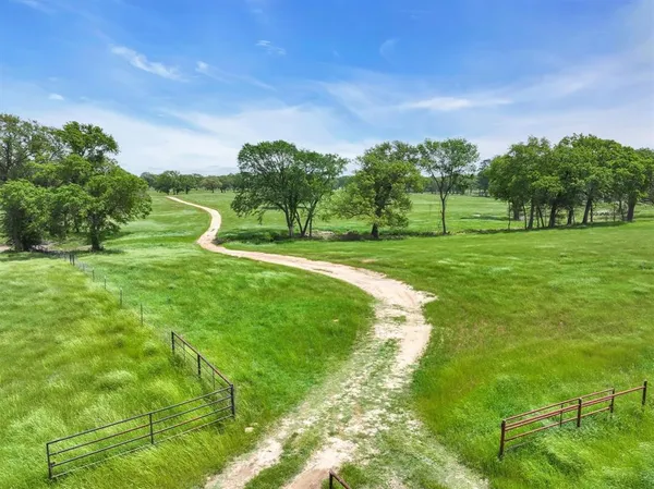 a view of a big yard with large trees