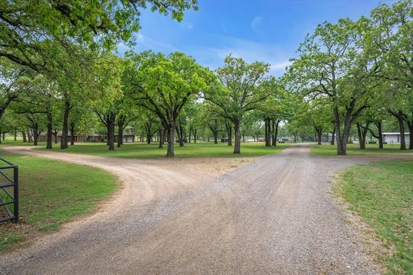 a view of outdoor space with garden