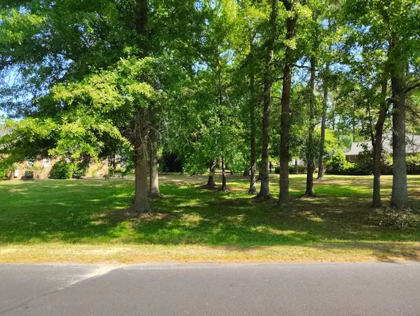 $18,000 | 218 Ridge Lake Drive, Manning, SC 29102