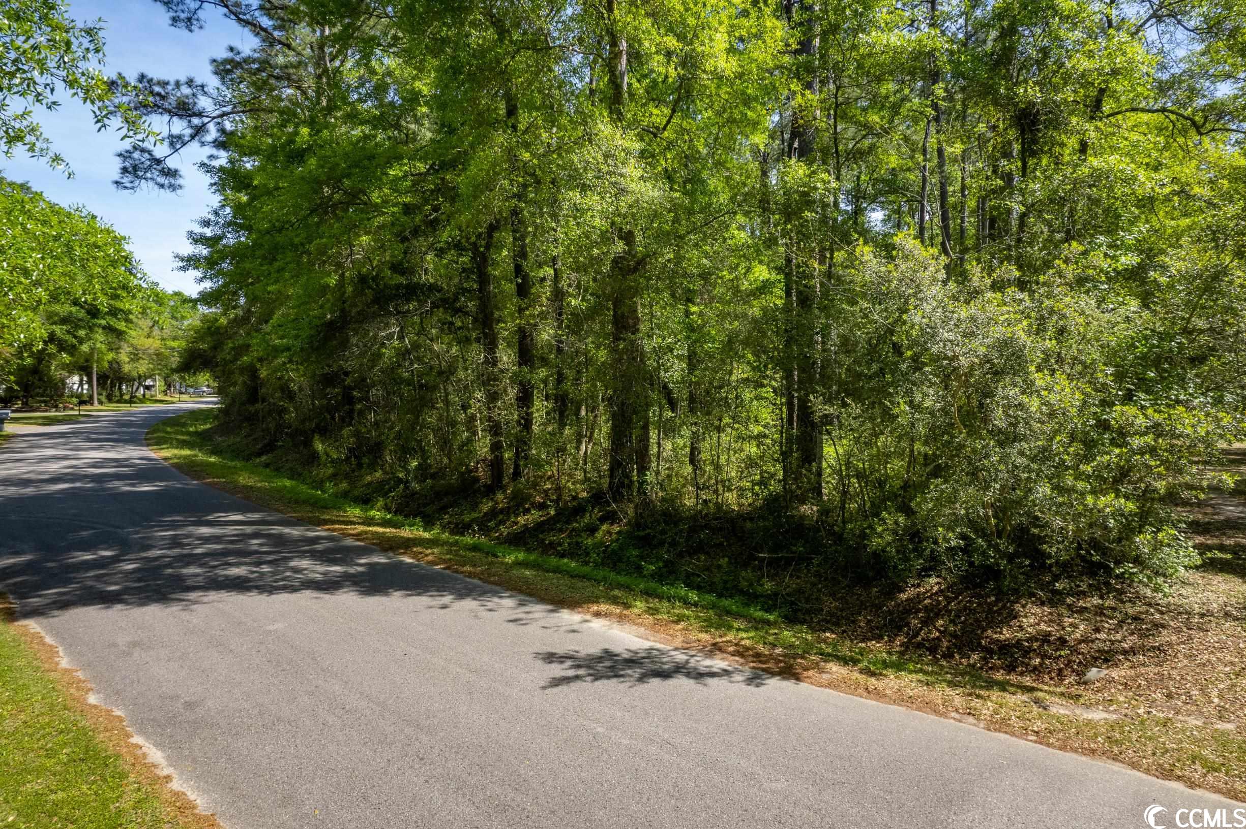 209 Otter Run Road Pawleys Island, SC 29585 - Photo 1 of 24 Gallery Image 1