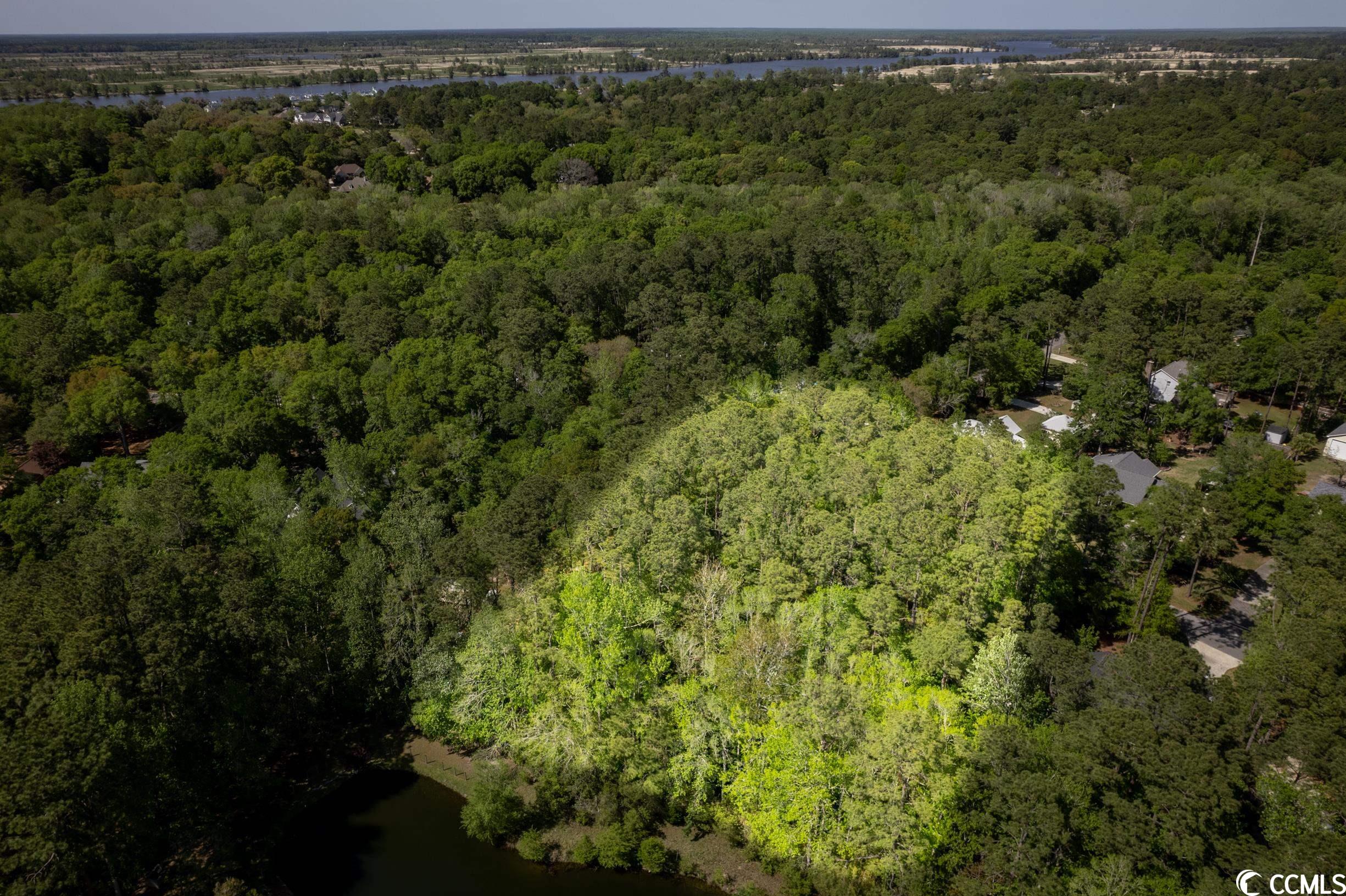 209 Otter Run Road Pawleys Island, SC 29585 - Photo 11 of 24 Gallery Image 11