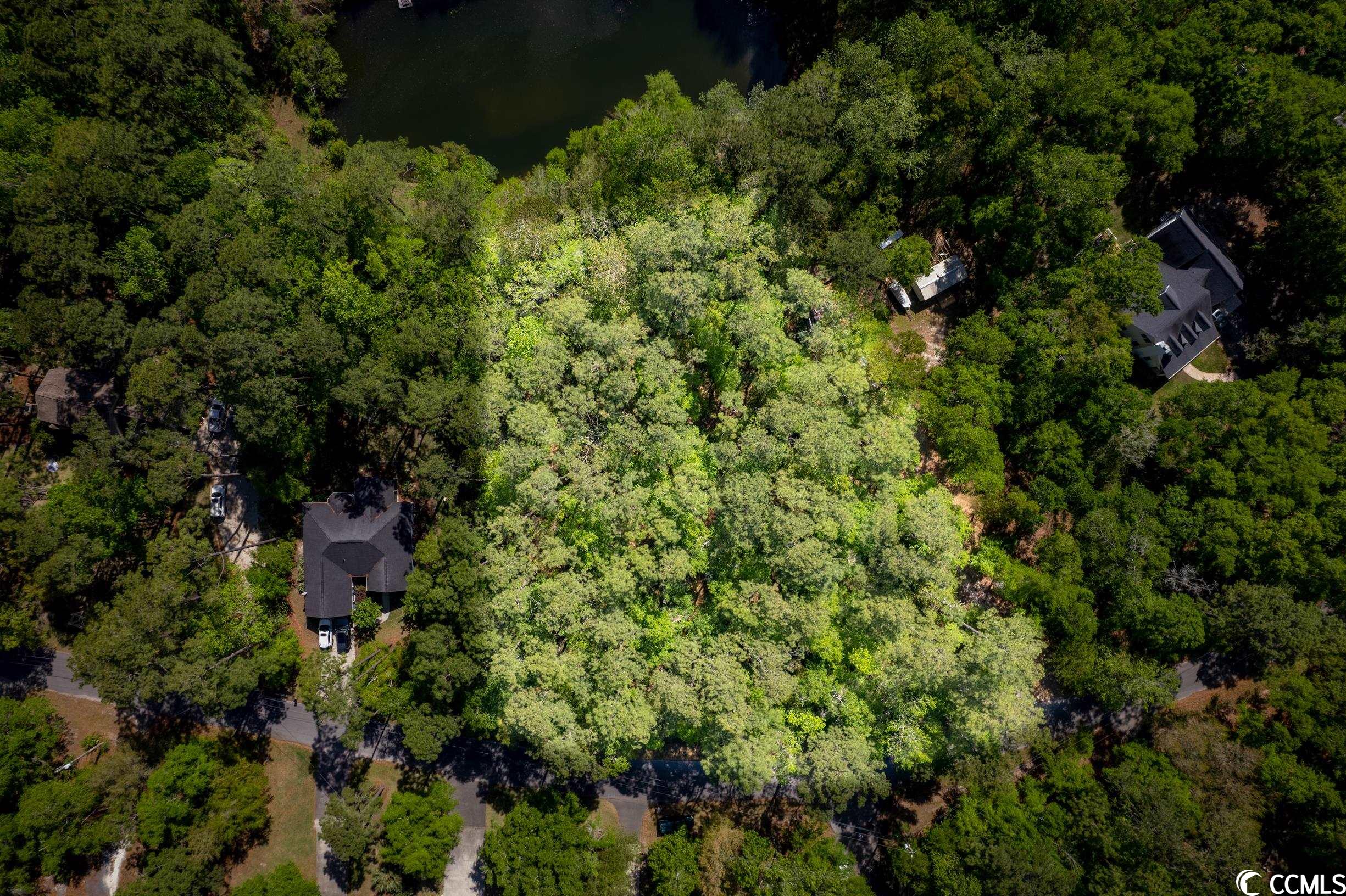 209 Otter Run Road Pawleys Island, SC 29585 - Photo 20 of 24 Gallery Image 20