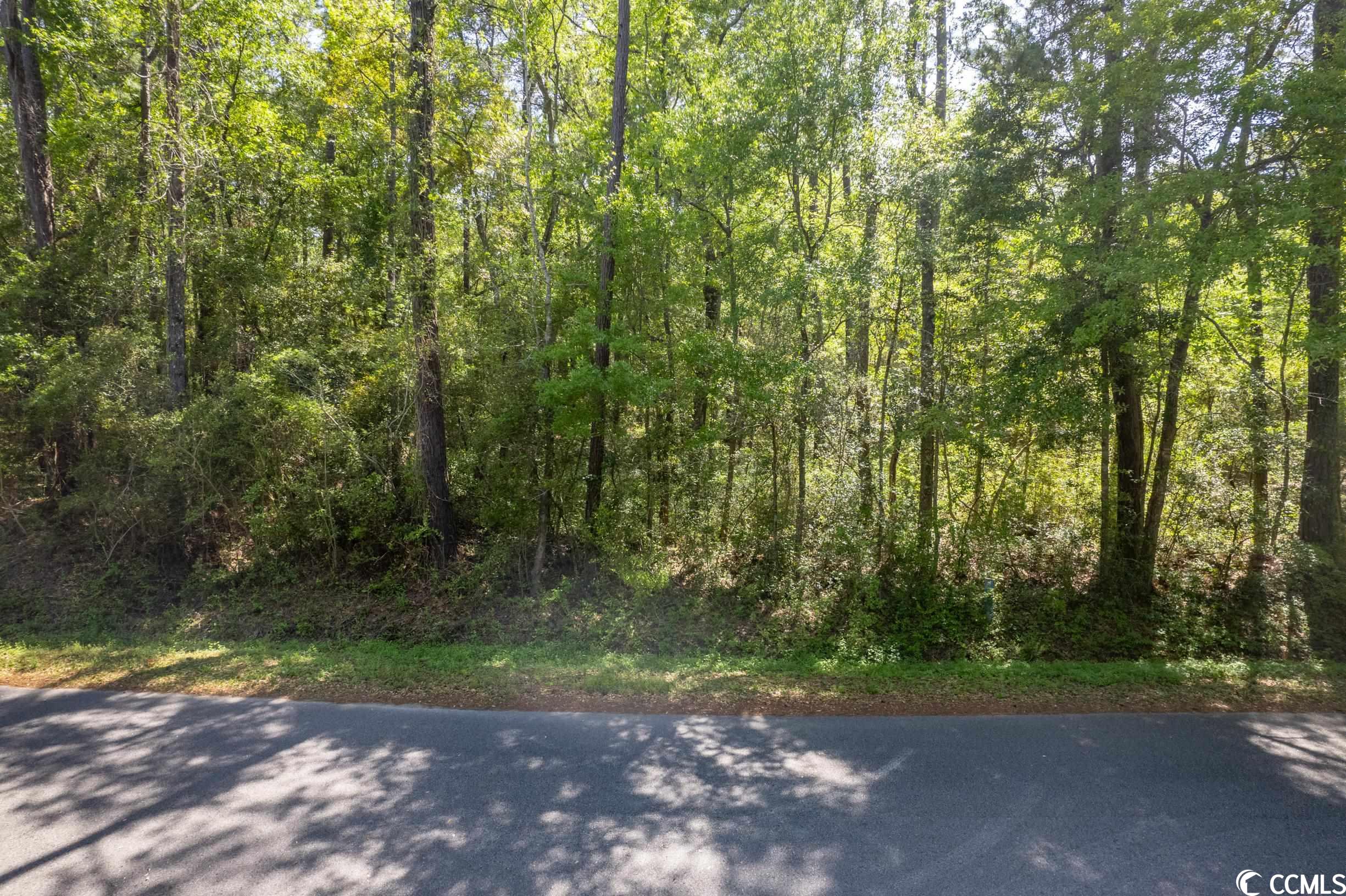 209 Otter Run Road Pawleys Island, SC 29585 - Photo 2 of 24 Gallery Image 2