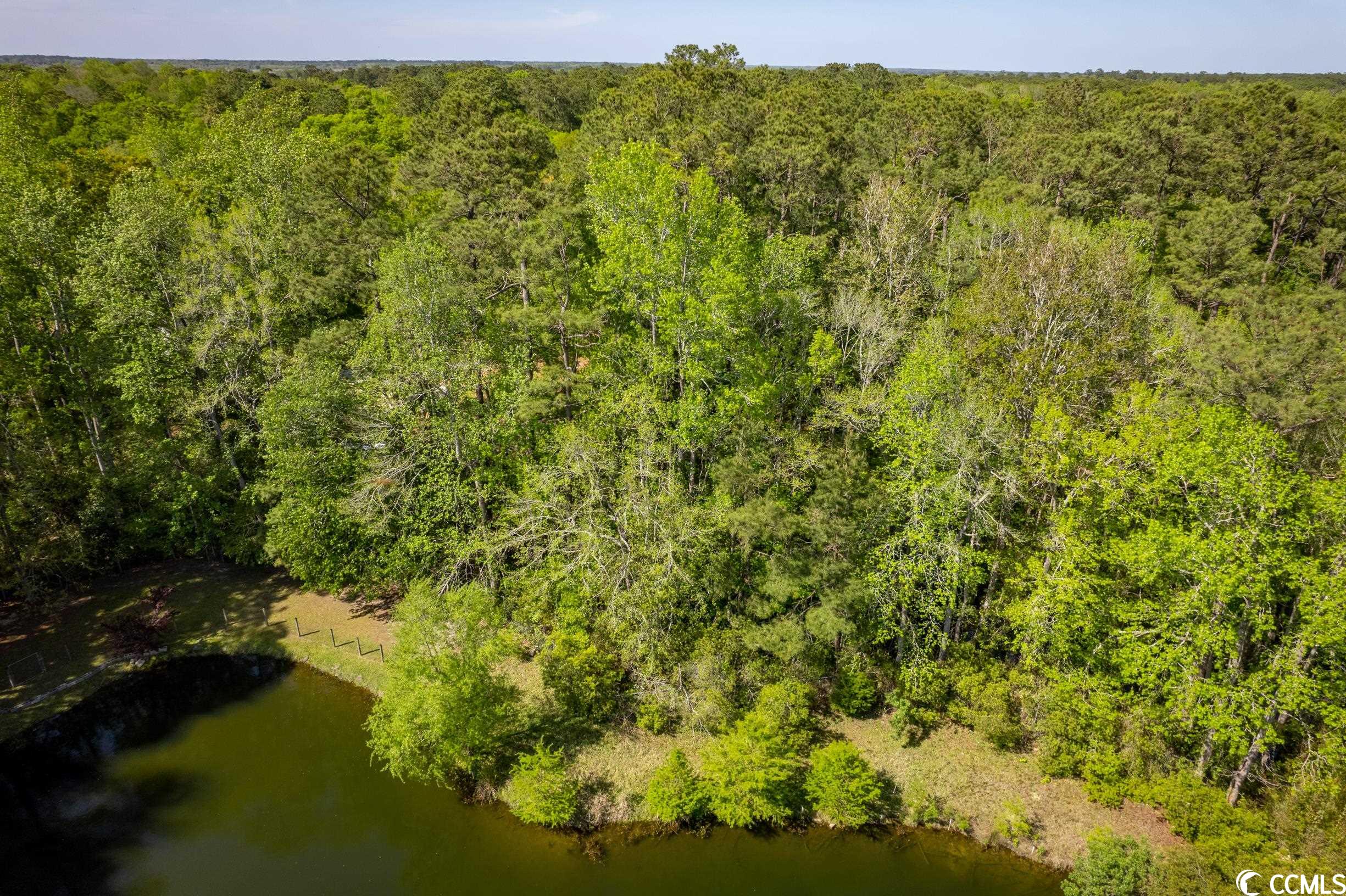 209 Otter Run Road Pawleys Island, SC 29585 - Photo 21 of 24 Gallery Image 21