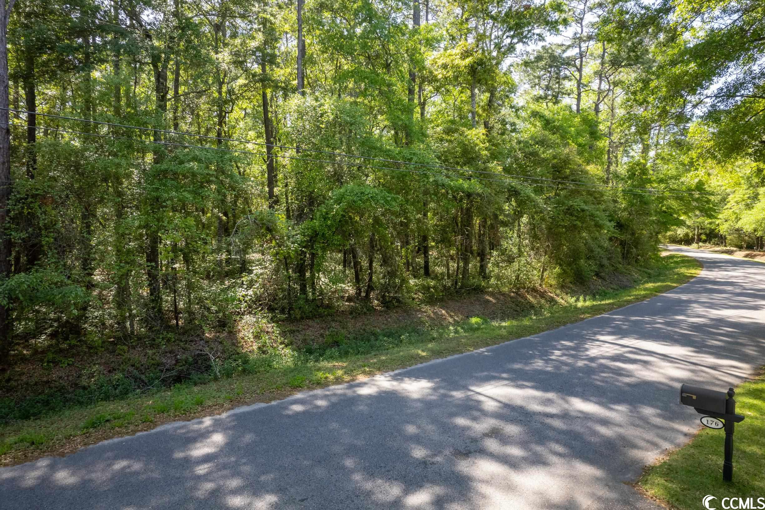 209 Otter Run Road Pawleys Island, SC 29585 - Photo 3 of 24 Gallery Image 3
