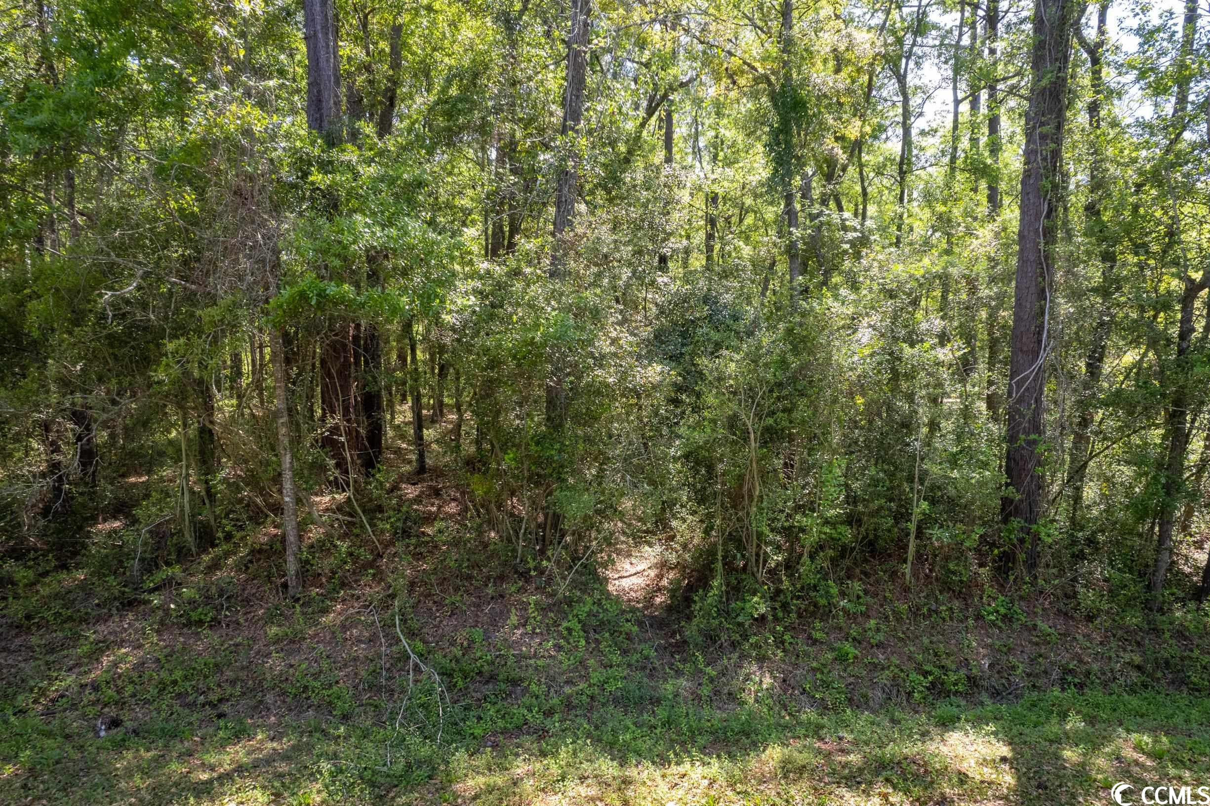 209 Otter Run Road Pawleys Island, SC 29585 - Photo 4 of 24 Gallery Image 4