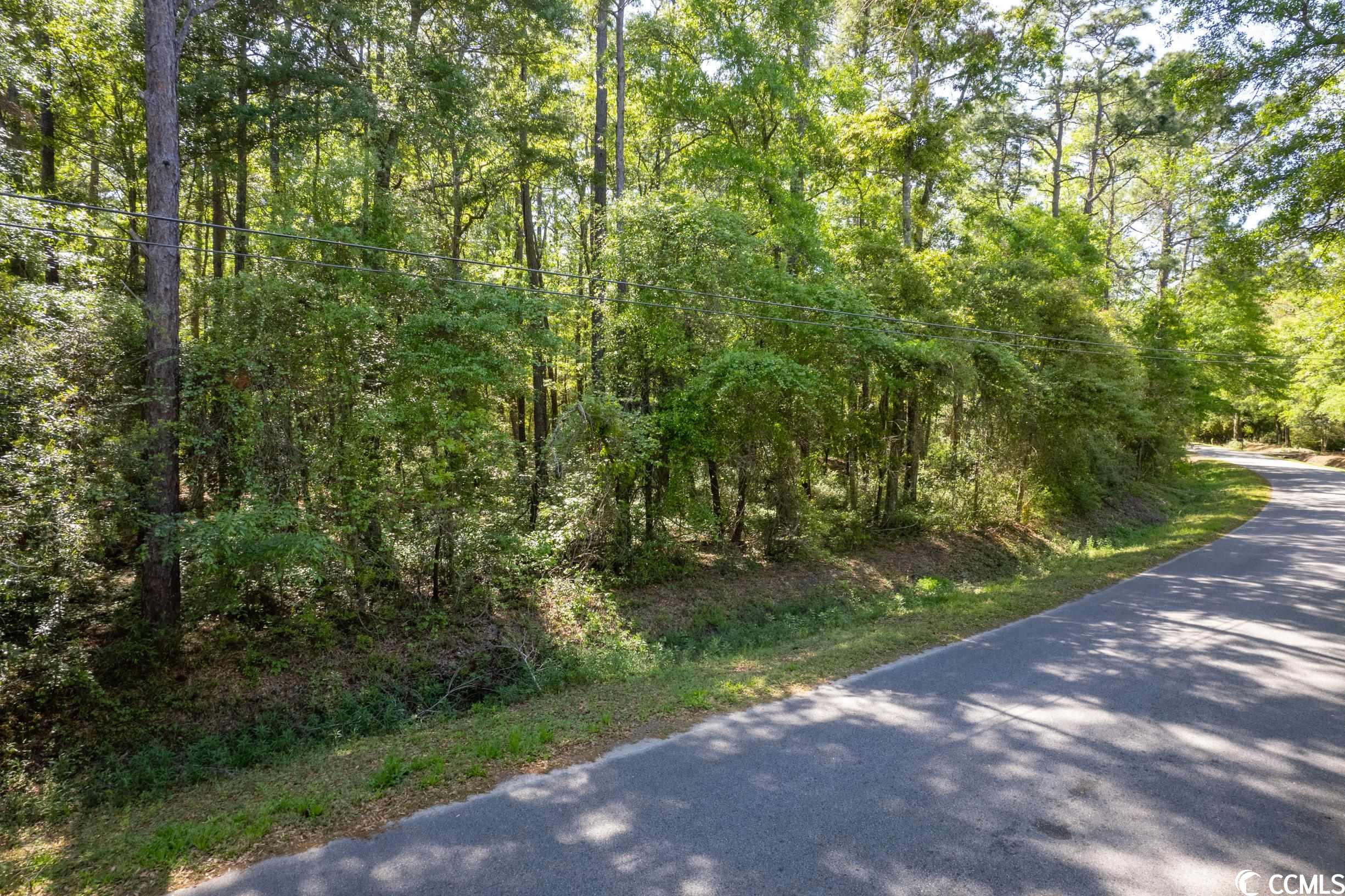 209 Otter Run Road Pawleys Island, SC 29585 - Photo 5 of 24 Gallery Image 5