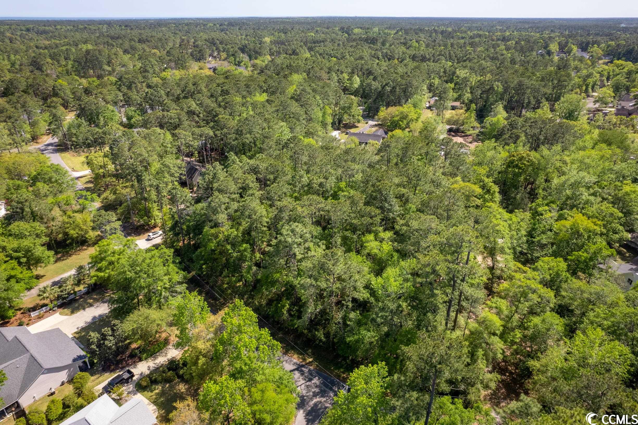 209 Otter Run Road Pawleys Island, SC 29585 - Photo 6 of 24 Gallery Image 6