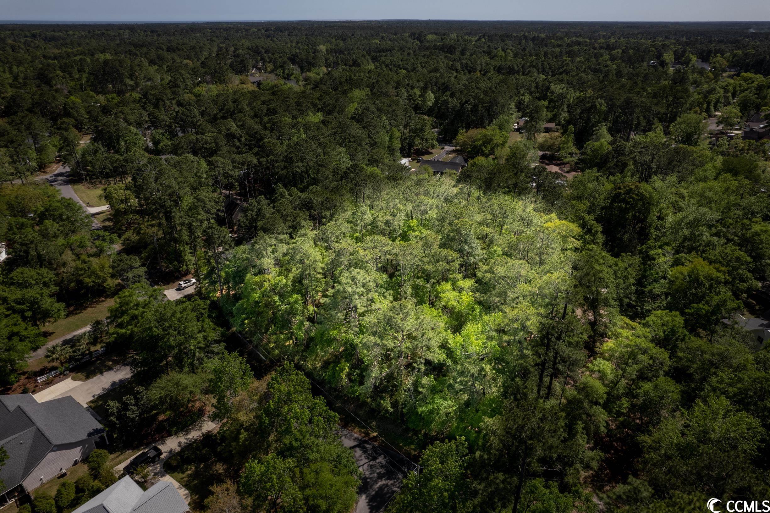 209 Otter Run Road Pawleys Island, SC 29585 - Photo 7 of 24 Gallery Image 7