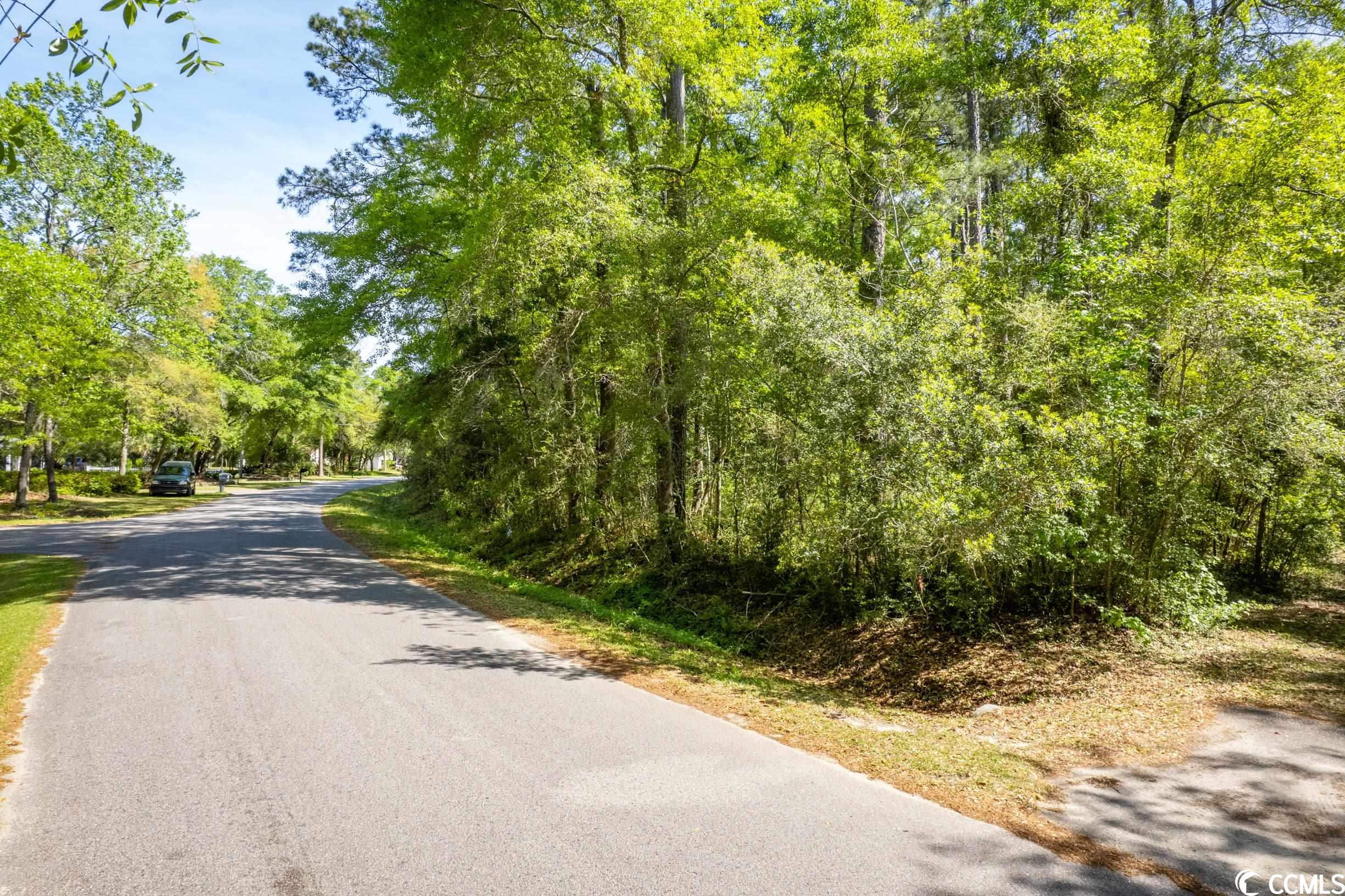 209 Otter Run Road Pawleys Island, SC 29585 - Photo 8 of 24 Gallery Image 8