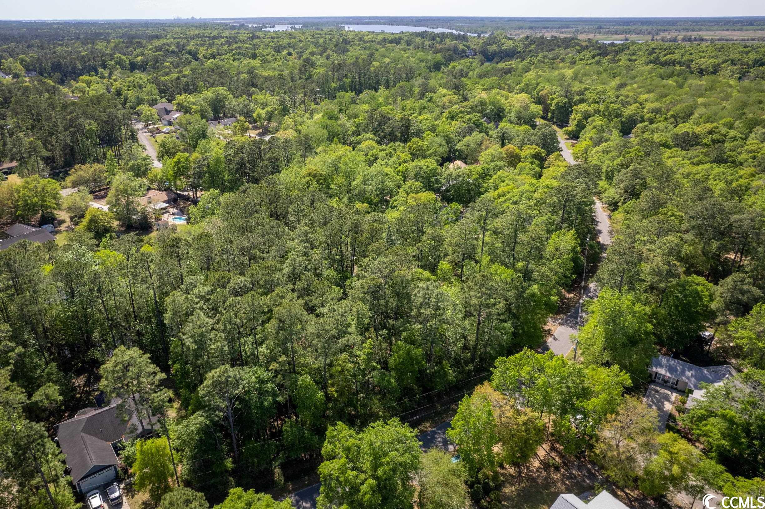 209 Otter Run Road Pawleys Island, SC 29585 - Photo 9 of 24 Gallery Image 9