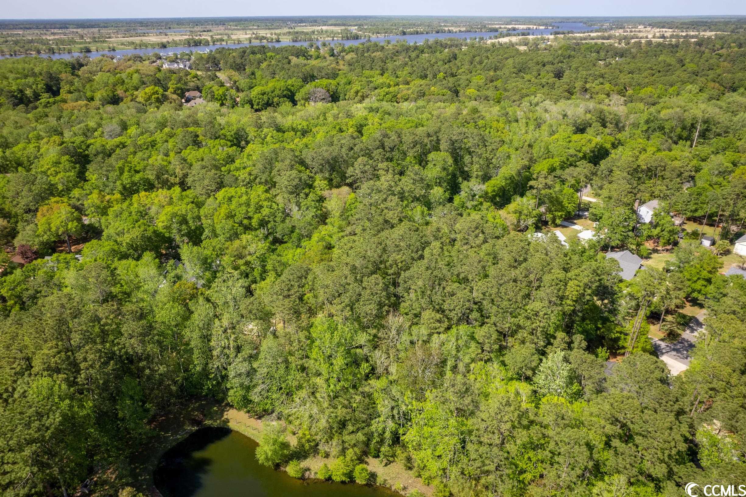 209 Otter Run Road Pawleys Island, SC 29585 - Photo 10 of 24 Gallery Image 10