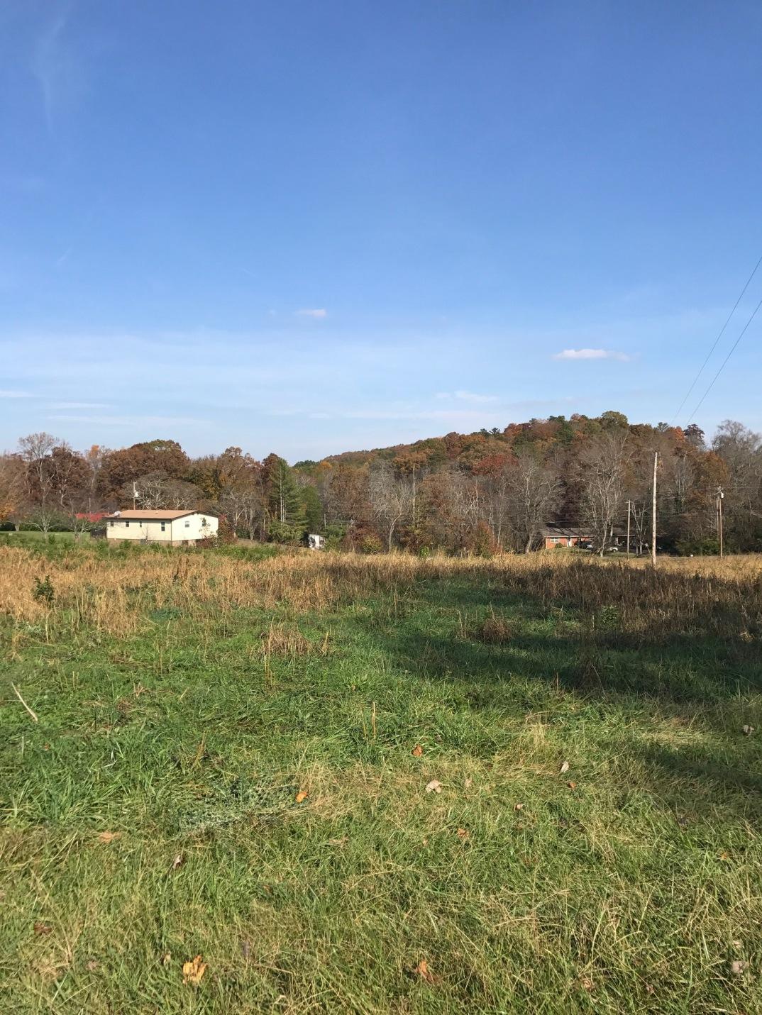 Springview Maryville, TN 37801 - Photo 3 of 18 IMG_1031