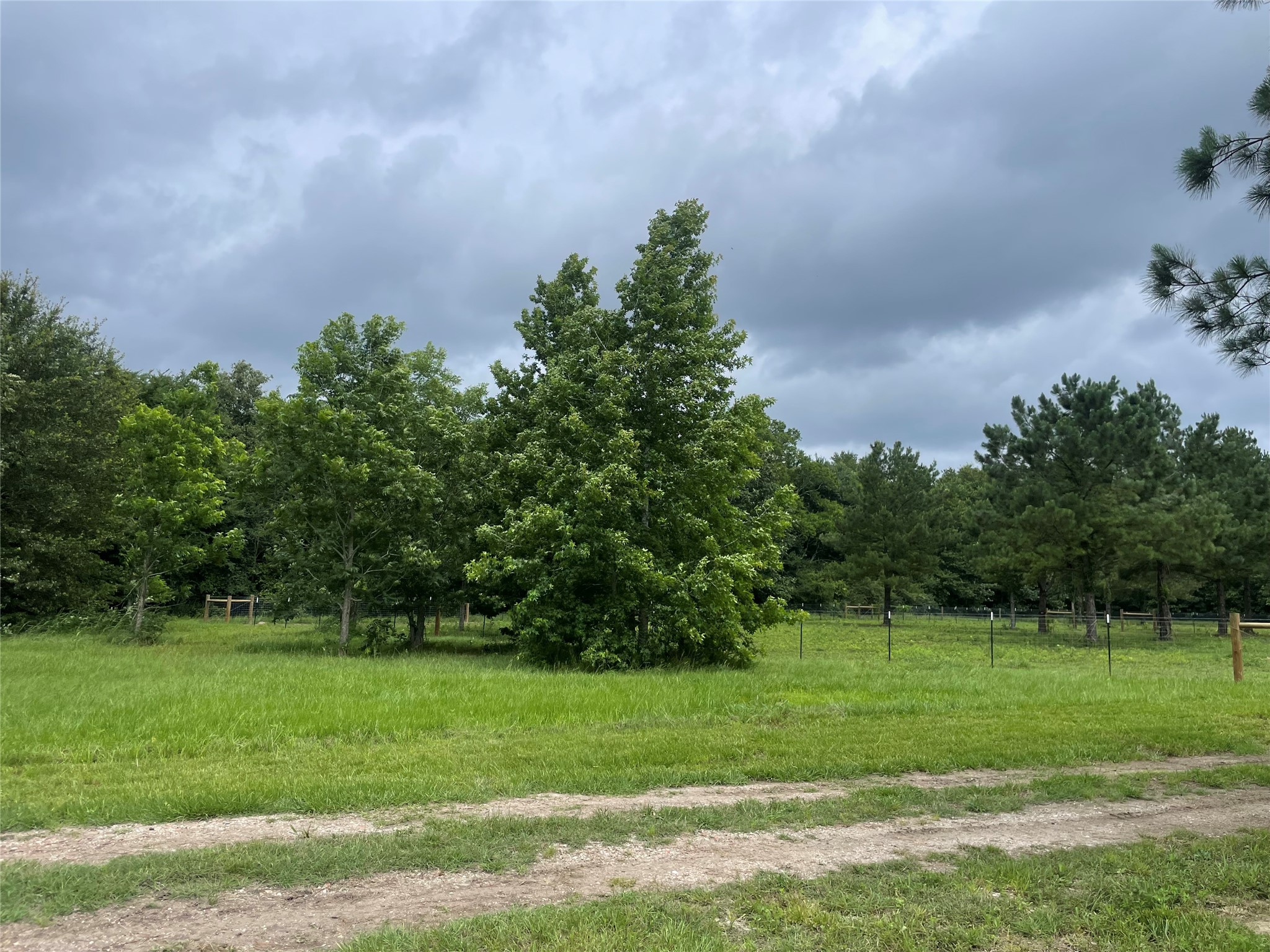 977 Tafelski Road New Waverly, TX 77358 - Photo 5 of 10