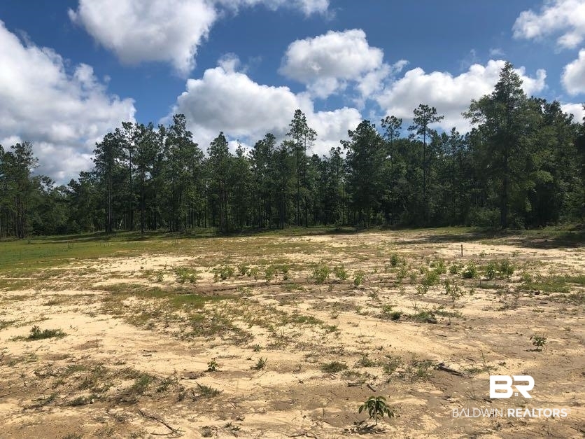 12359 Red Hill Rd Extension Bay Minette, AL 36507 - Photo 3 of 16