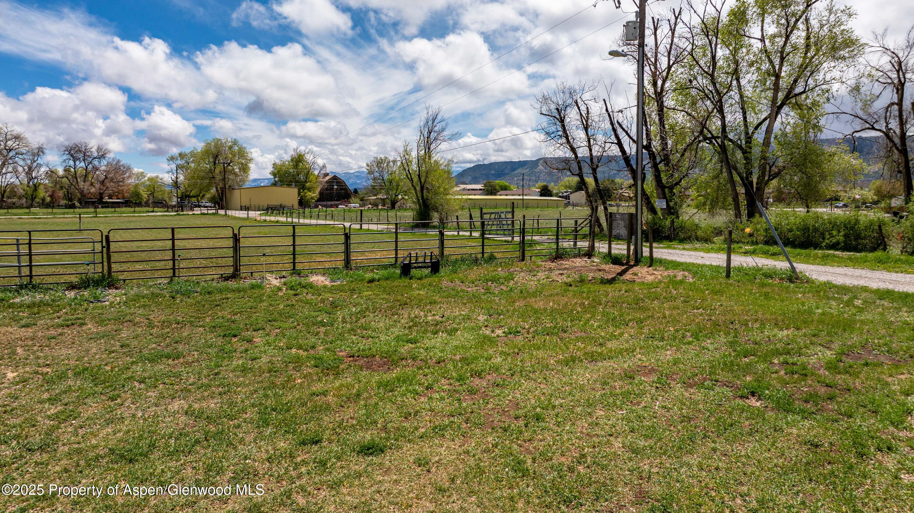 233 County Road 265 Rifle, CO 81650 - Photo 12 of 35 a view of a park with large trees