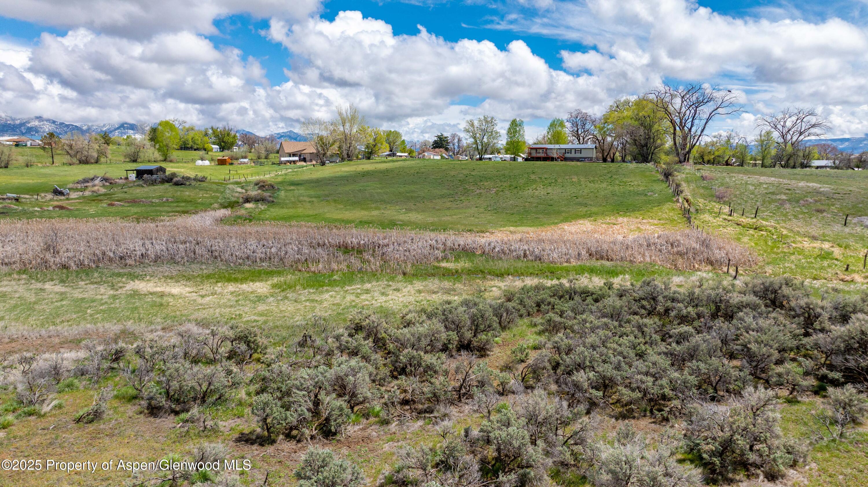 233 County Road 265 Rifle, CO 81650 - Photo 5 of 35 a view of a big yard with a large trees