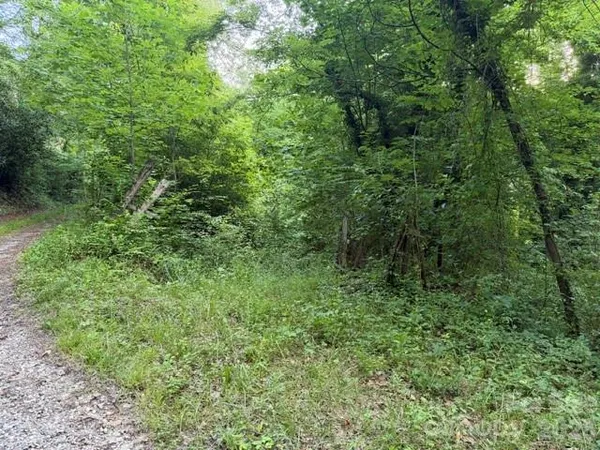 $49,900 | 0 Heavenly View Drive, Sylva, NC 28779