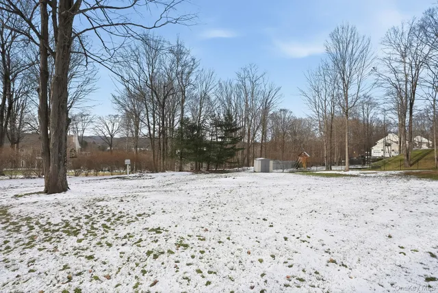 a street view covered with snow