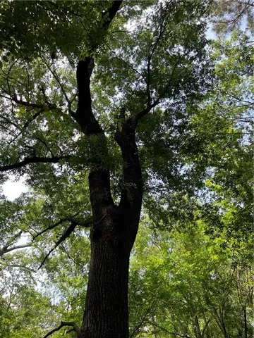 $195,000 | 0 Shelton Drive, Ball, LA 71405