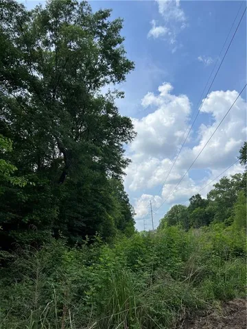 $195,000 | 0 Shelton Drive, Ball, LA 71405